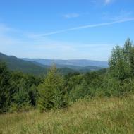 Прокурава з panoramio.com