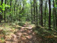 Межиріч з panoramio.com