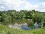 Ставкове з panoramio.com