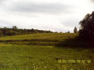 Чернин з panoramio.com