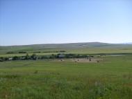 Комишинка з panoramio.com