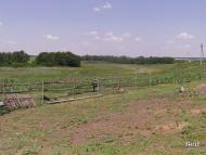 Соснівка з panoramio.com