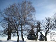 Підгірне з panoramio.com