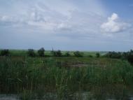 Виноградне - Останні фото