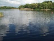 Малечковичі з panoramio.com