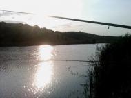 Березівське з panoramio.com