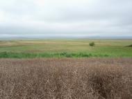 Лучківці з panoramio.com