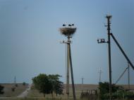 Батальне з panoramio.com