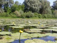 Манухівка з panoramio.com