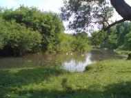 Білокриниця з panoramio.com