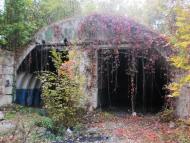 Введенка з panoramio.com