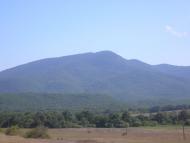 Горлинка - Последние фото