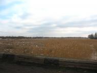 Червона Долина - Останні фото