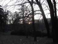 Зелений Гай з panoramio.com