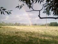 Синівка - Останні фото