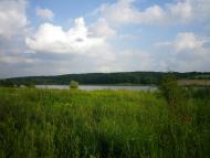 Северинівка з panoramio.com