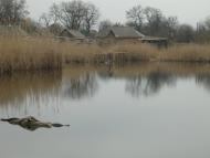 Кустолово-Суходілка - Останні фото