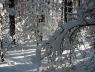 Авдіївка з panoramio.com