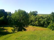 Тарноруда з panoramio.com