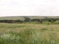 Мала Мартинівка з panoramio.com