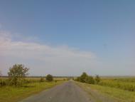 Веснянка з panoramio.com