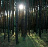 Мала Перещепина з panoramio.com