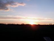 Червона Зірка - Останні фото