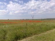 Дар'ївка з panoramio.com