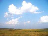 Черкаська Лозова з panoramio.com