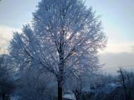 Жовтневе з panoramio.com