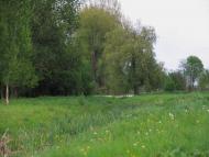 Зарубинці з panoramio.com