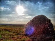 Кам'янка з panoramio.com