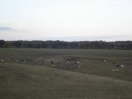 Дзензелівка з panoramio.com - Дзензелевка