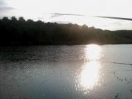 Березівське з panoramio.com