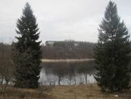 Буки з panoramio.com - Буки