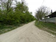 Борсуки з panoramio.com