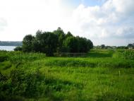 Северинівка з panoramio.com