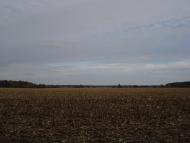 Дзензелівка з panoramio.com - Дзензелевка