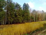 Вересівка з panoramio.com