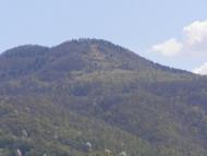 Росішка з panoramio.com