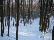 Мохначі з panoramio.com