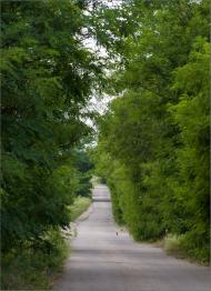 Мала Ганнівка з panoramio.com