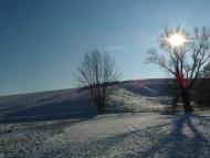 Тарноруда з panoramio.com