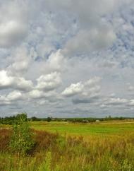 Моргуличі з panoramio.com