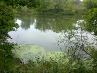 Букине з panoramio.com - Букине
