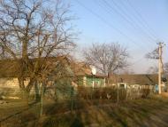 Миколаївські Сади з panoramio.com