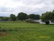Цигани з panoramio.com