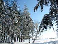 Авдіївка з panoramio.com