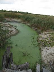 Балівка з panoramio.com