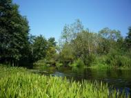 Бучин з panoramio.com